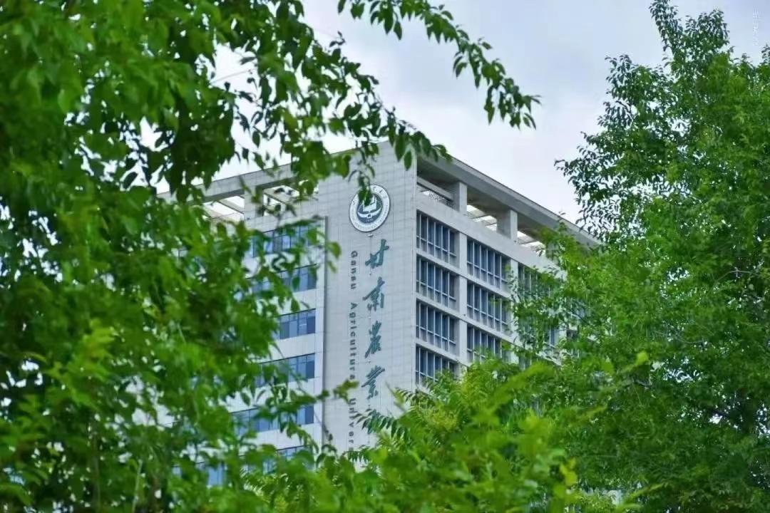 甘肃最新人事任免公示，多维度解读与观点碰撞深度探讨人才布局调整