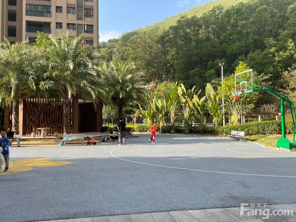 服务案例 第487页