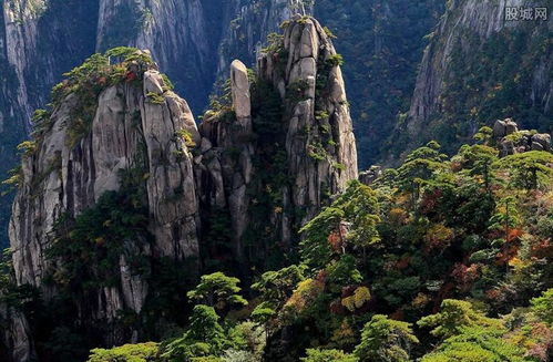 黄山最新门票探秘，小巷独特风景与隐藏特色小店揭秘