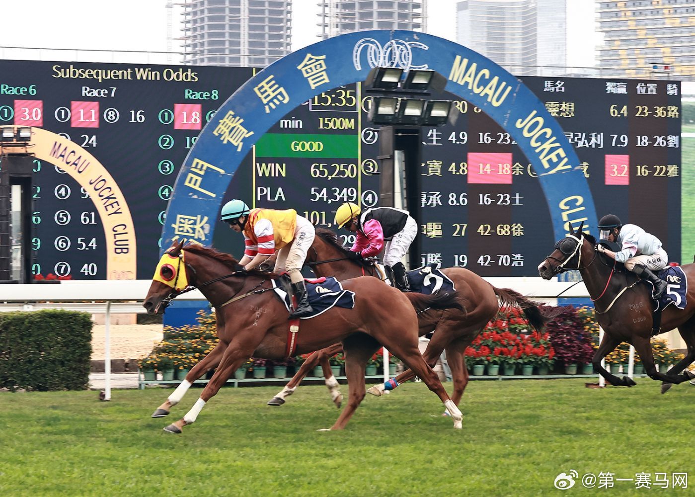 香港晚上开什么特马,定量解析解释法_RML23.322紧凑版