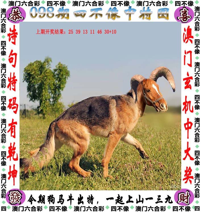2024四不像正版最新版本,实时分析处理_AEH23.541精选版