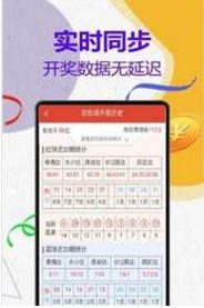 管家婆一码一肖100中中中,实地应用实践解读_CQE23.148梦幻版