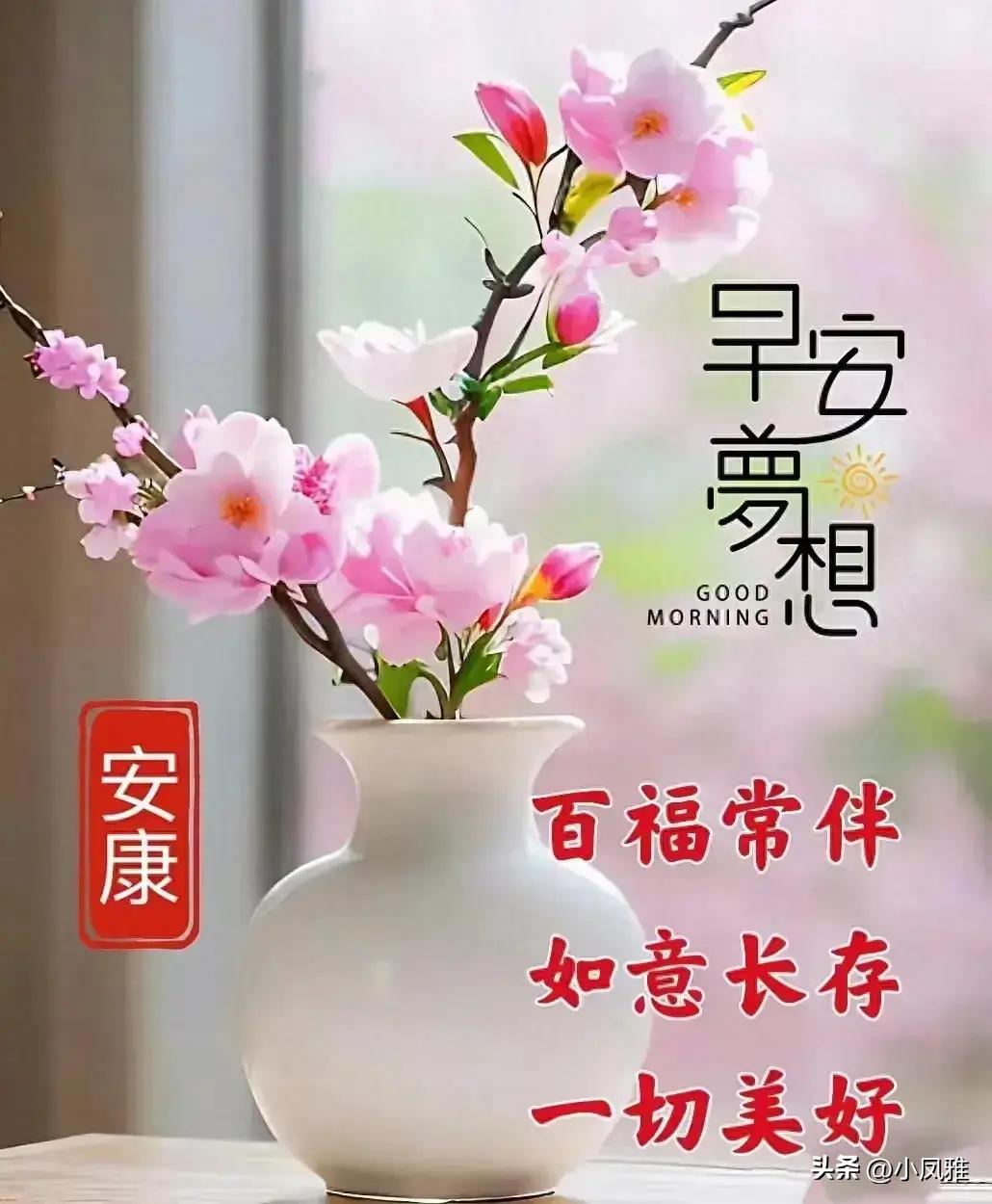 2024年天天彩免费资料大全,策略规划_效率版33.207