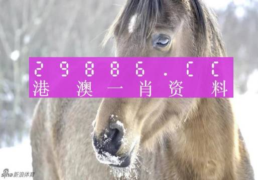 服务案例 第424页