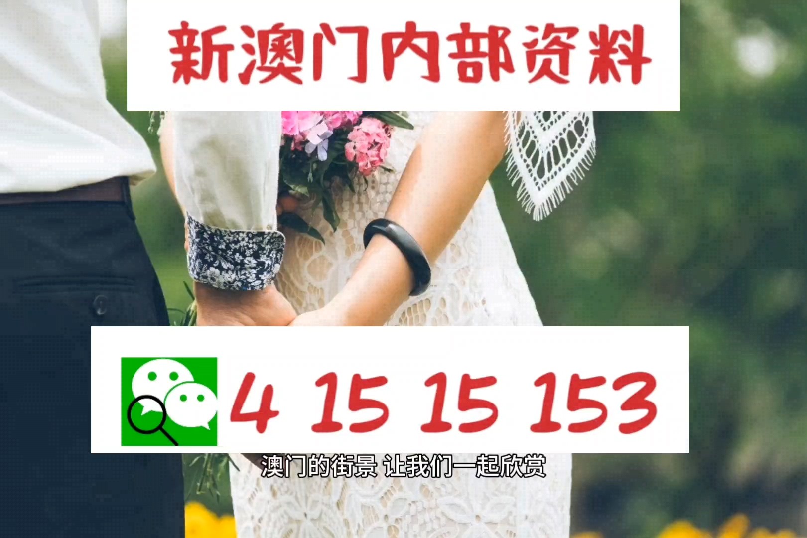 800图库大全2024年11月港澳,定性解析明确评估_视频版32.243