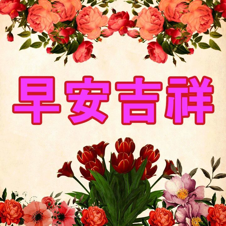 重生之军长早上好，最新攻略指南及最新消息速递