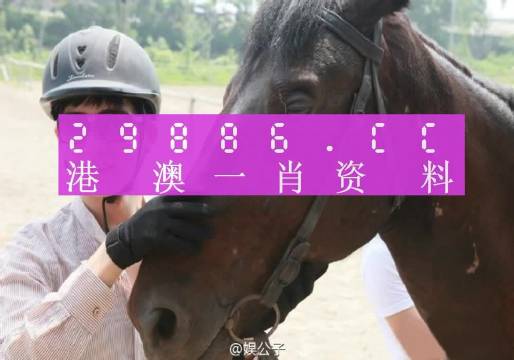 今晚澳门必中一肖一码适囗务目,精准分析实践_完整版65.667