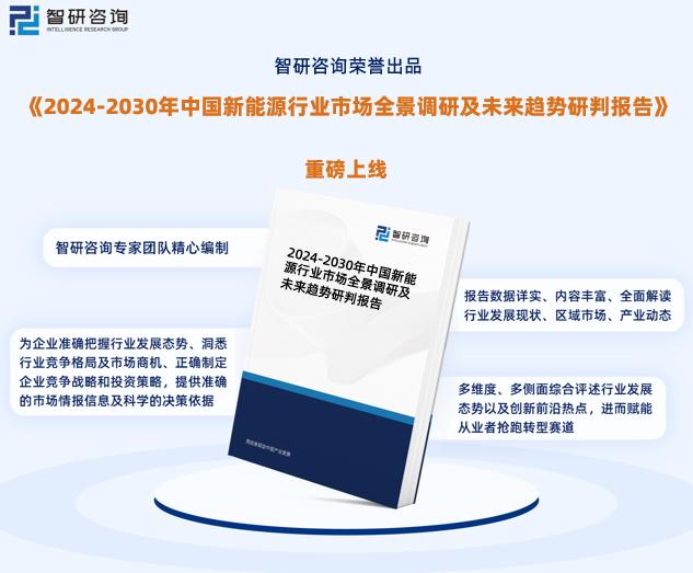 2024新奥免费看的资料,持续性实施方案_DIY版53.838