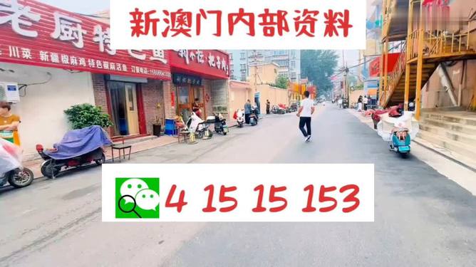 2024新澳门天天开好彩大全正版,專家解析意見_商务版24.693
