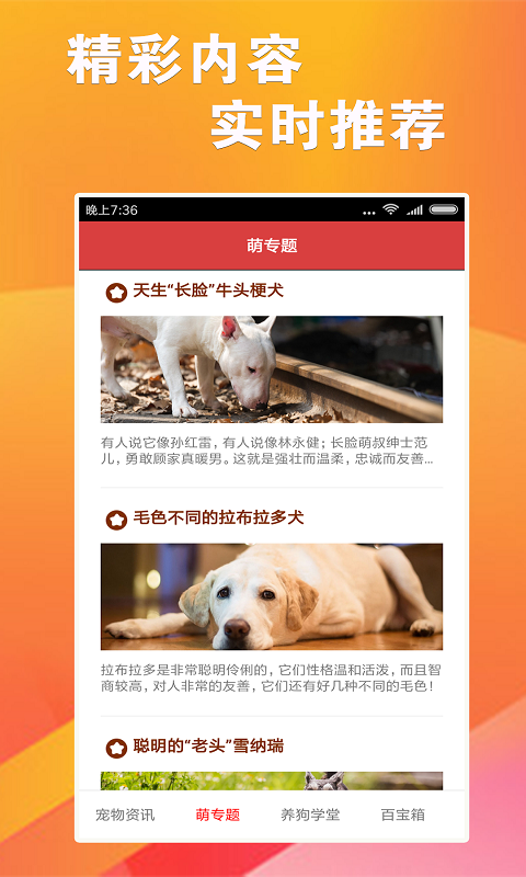 7777788888精准跑狗图,社会责任实施_丰富版36.754