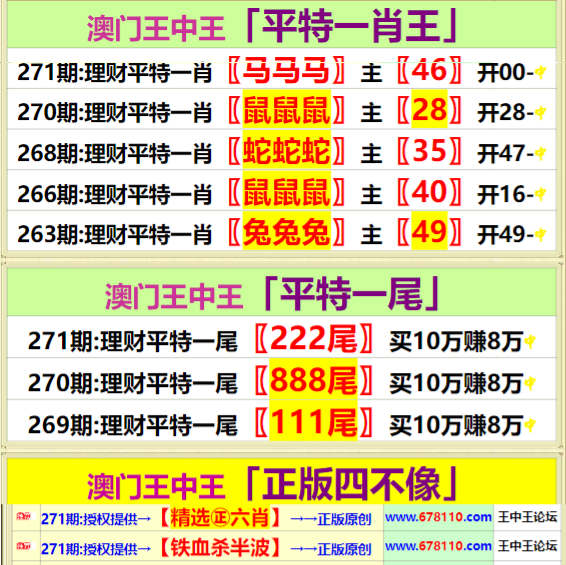王中王精准资料期期中澳门高手,实际调研解析_时尚版43.192