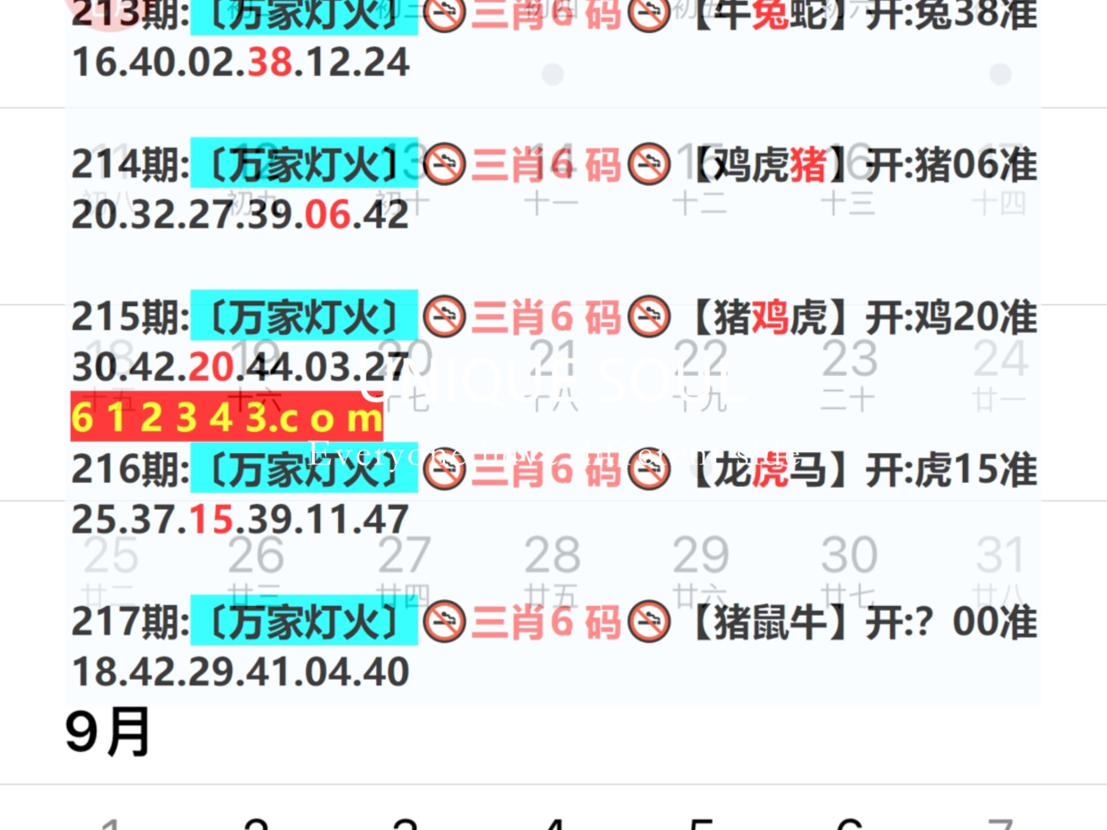 2024澳门天天六开好彩开奖,实时更新解释介绍_游戏版25.217