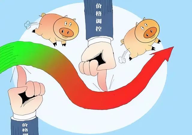 猪价最新通知,🌟猪价最新通知🌟