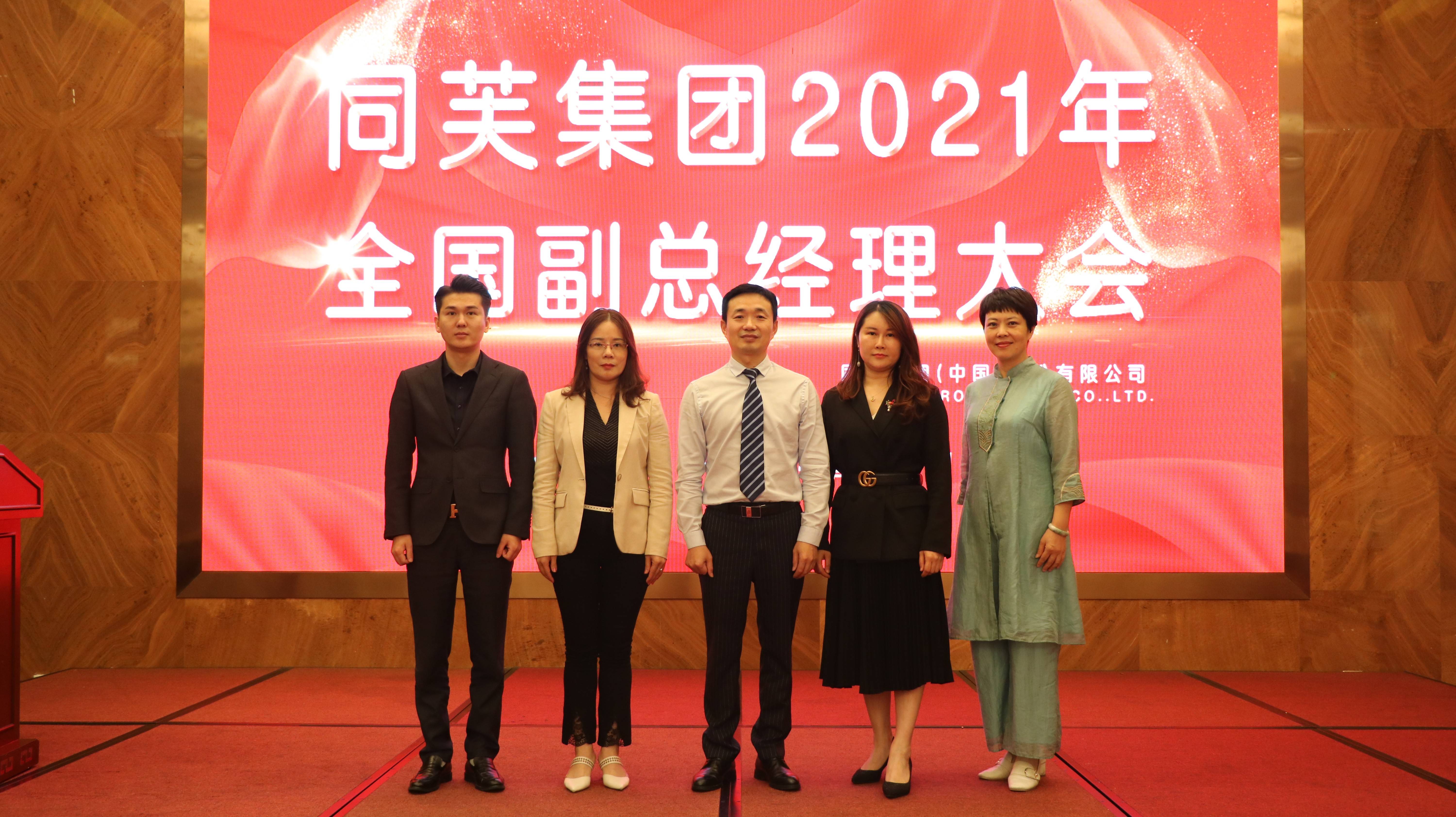最新大会详解，步骤指南与开幕概览