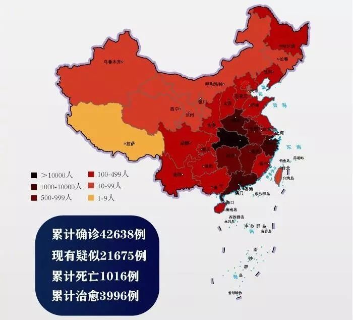 全球疫情态势分析，最新病毒分布与全球视角的探讨
