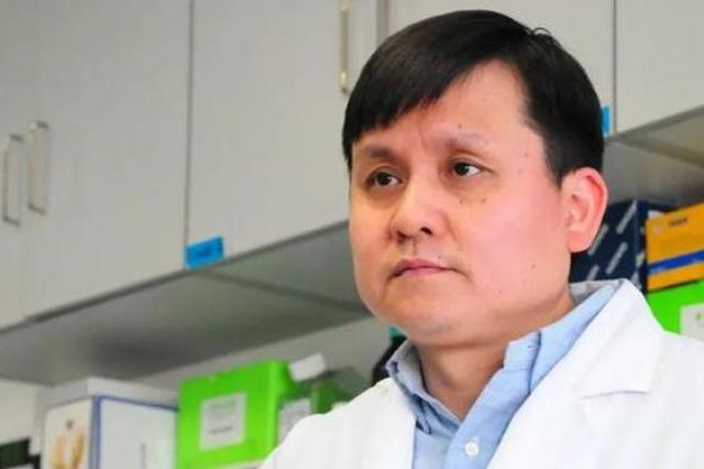 张文宏最新医学前沿动态揭秘，最新消息发布！