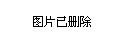 2024棒女郎新篇章揭晓，最新消息与动态