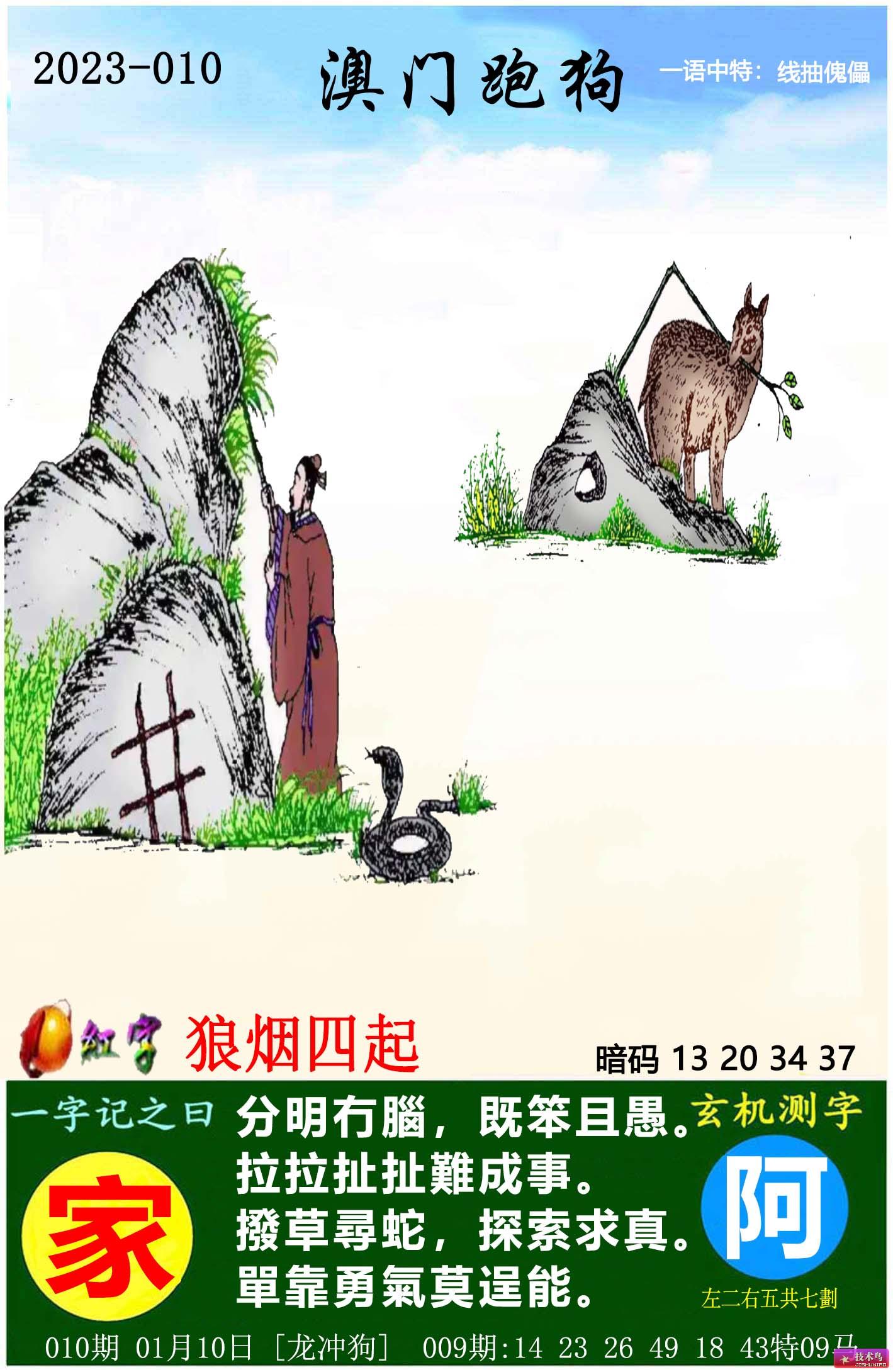 服务项目 第218页