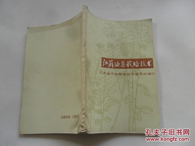 江苏油菜价格动态，绿色之旅探寻内心平静之路