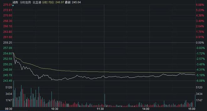 中国股市概览，股票数量与科技重塑投资体验