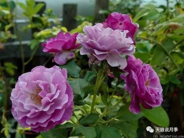 服务案例 第34页