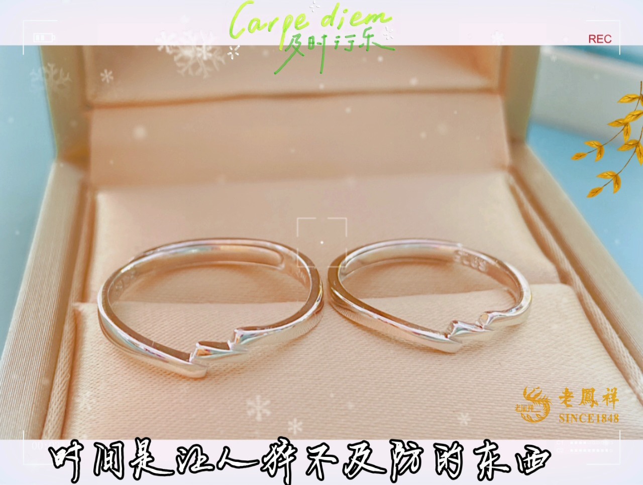 服务案例 第48页