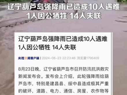 岫岩洪灾瞒报最新动态及应对防范指南（初学者与进阶用户必读）