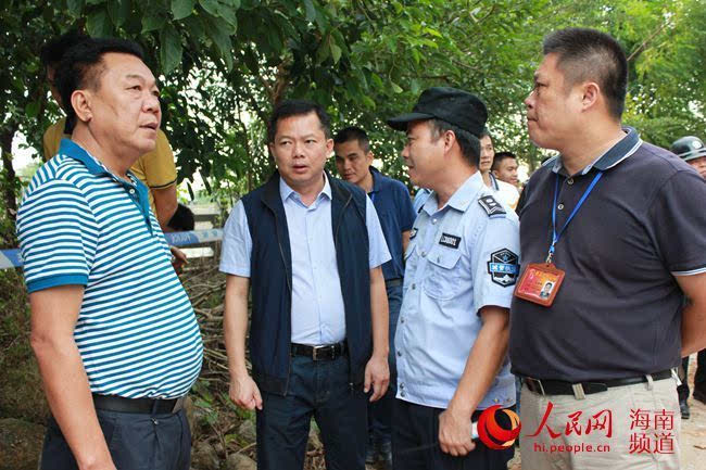 海南澄迈符进最新动态，自然美景探索之旅，寻觅内心平和之旅